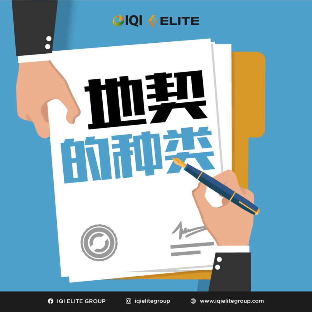 地契种类 feature